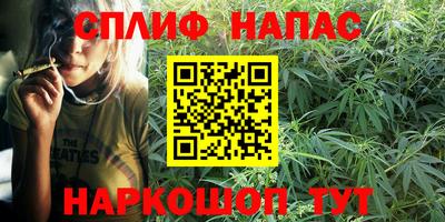 дмт Ставрополь
