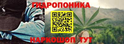 дмт Ставрополь